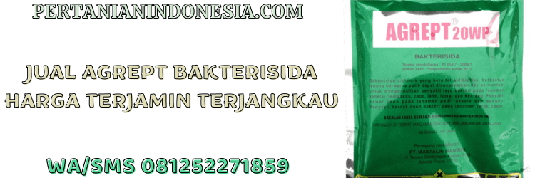 jual,murah,terjangkau,toko pertanian terdekat,pertanian indonesia